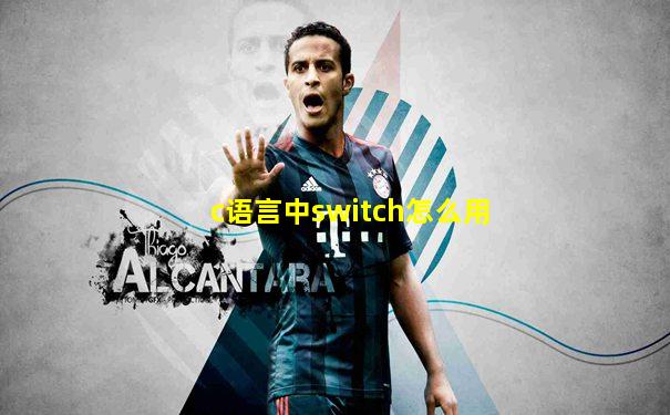c语言中switch怎么用