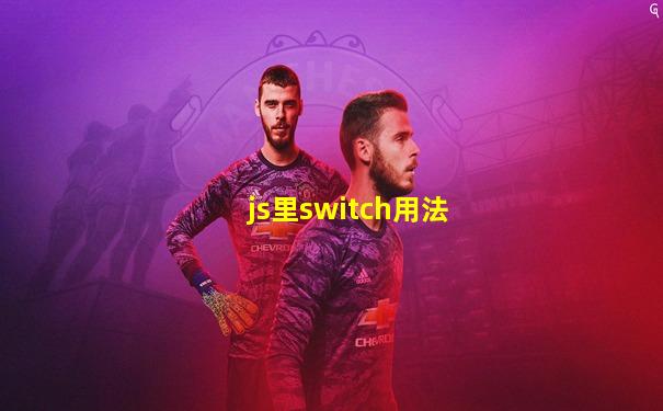 js里switch用法