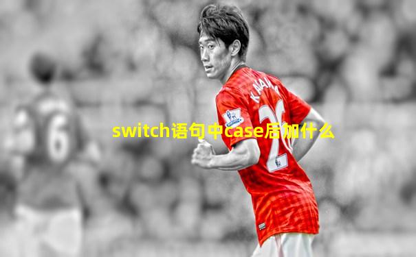 switch语句中case后加什么