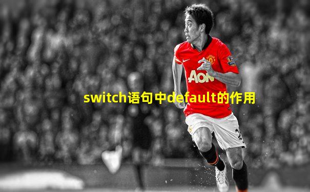 switch语句中default的作用