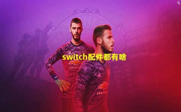 switch配件都有啥