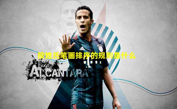 按姓氏笔画排序的规则是什么