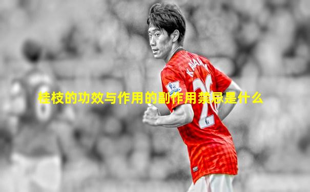 桂枝的功效与作用的副作用禁忌是什么