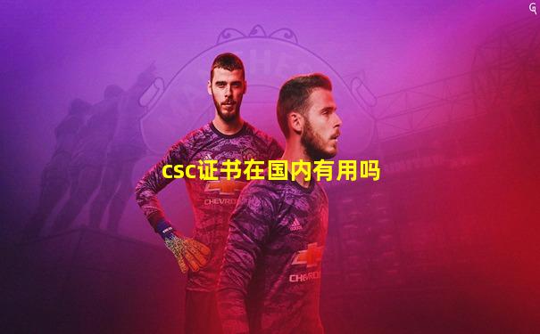 csc证书在国内有用吗