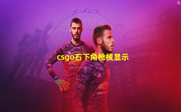 csgo右下角枪械显示