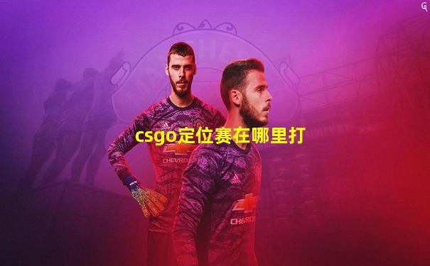 csgo定位赛在哪里打