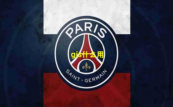 gis什么用