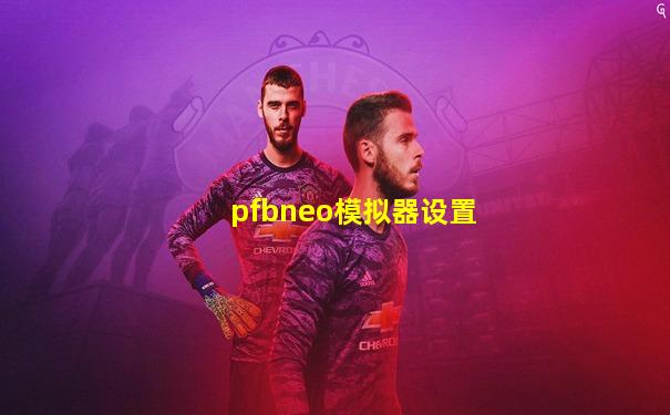 pfbneo模拟器设置