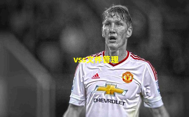 vss文件管理