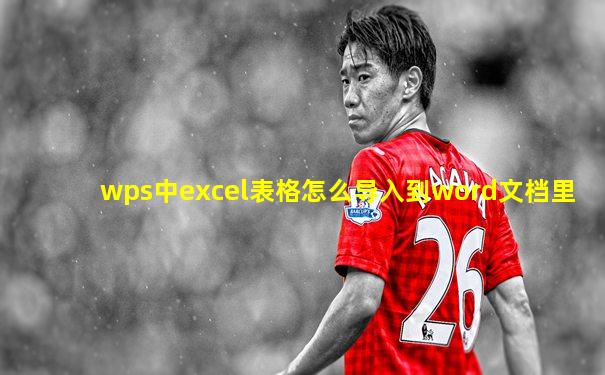 wps中excel表格怎么导入到word文档里