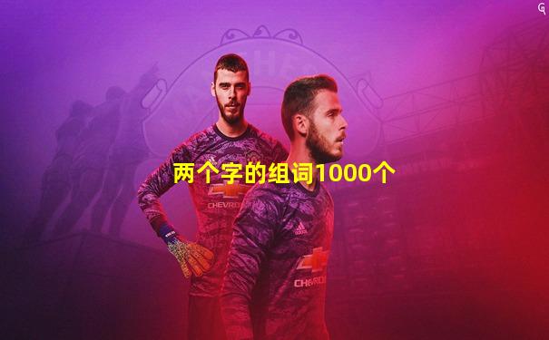 两个字的组词1000个