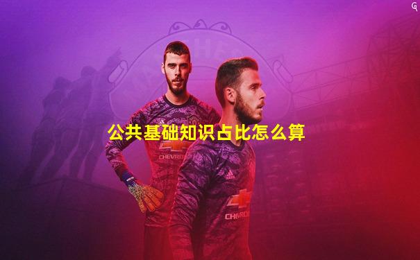 公共基础知识占比怎么算