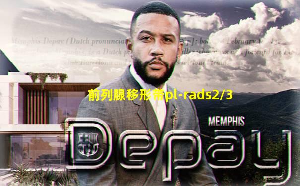 前列腺移形带pl-rads2/3