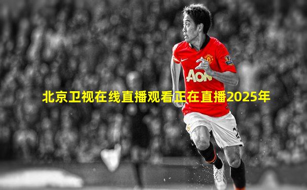北京卫视在线直播观看正在直播2025年