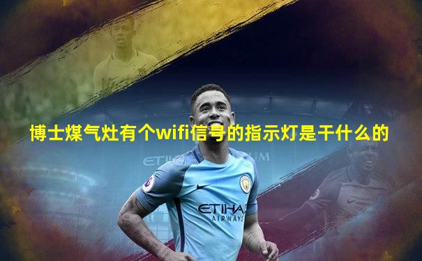 博士煤气灶有个wifi信号的指示灯是干什么的