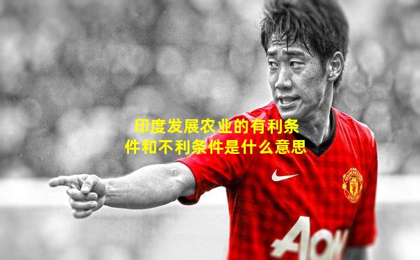 印度发展农业的有利条件和不利条件是什么意思