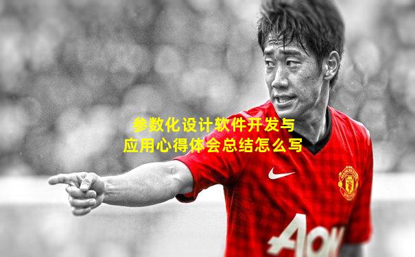 参数化设计软件开发与应用心得体会总结怎么写