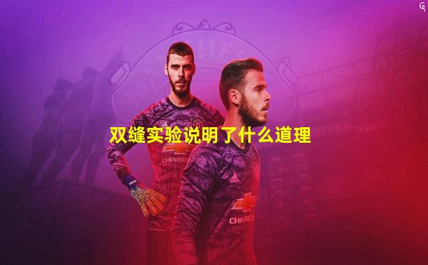 双缝实验说明了什么道理