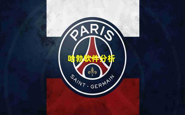 哈勃软件分析