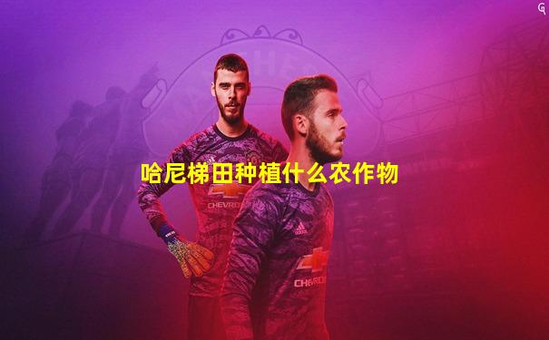 哈尼梯田种植什么农作物