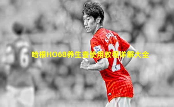 哈根HO68养生壶使用教程详解大全