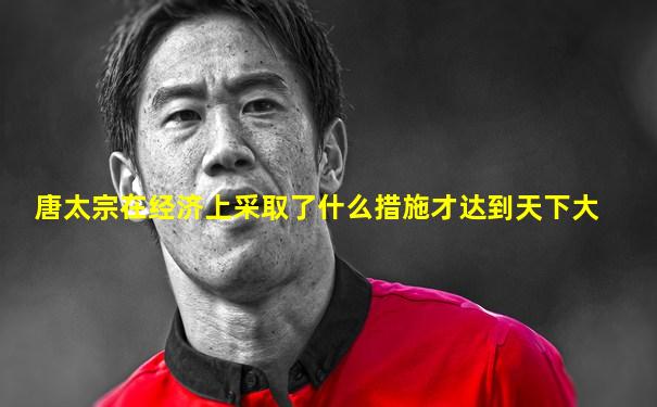 唐太宗在经济上采取了什么措施才达到天下大