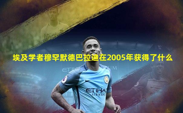 埃及学者穆罕默德巴拉迪在2005年获得了什么