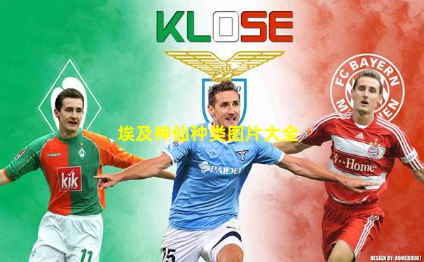埃及神仙种类图片大全