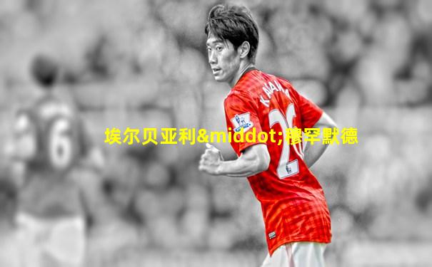 埃尔贝亚利·穆罕默德
