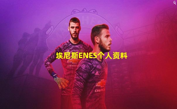 埃尼斯ENES个人资料
