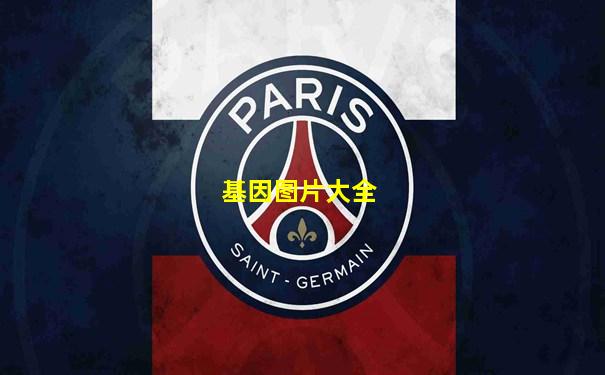 基因图片大全