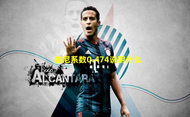 基尼系数0.474说明什么