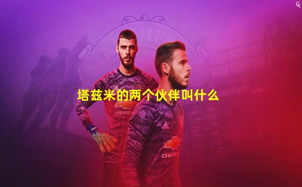 塔兹米的两个伙伴叫什么