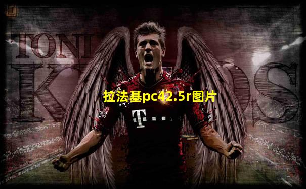 拉法基pc42.5r图片