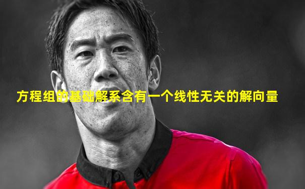方程组的基础解系含有一个线性无关的解向量