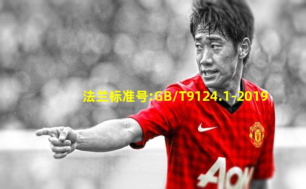 法兰标准号:GB/T9124.1-2019