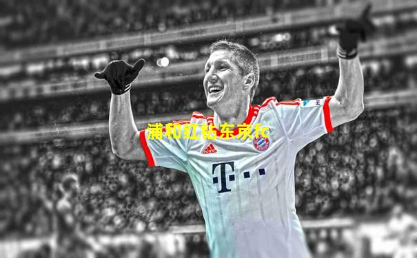 浦和红钻东京fc