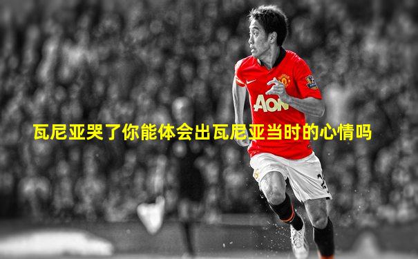 瓦尼亚哭了你能体会出瓦尼亚当时的心情吗