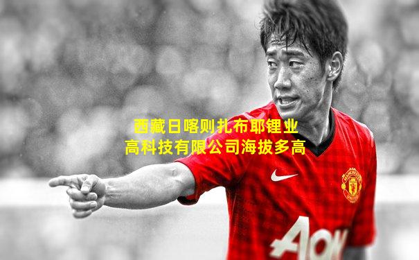 西藏日喀则扎布耶锂业高科技有限公司海拔多高