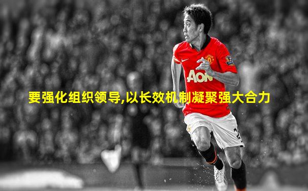 要强化组织领导,以长效机制凝聚强大合力